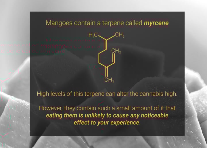 Mangoes and cannabis Mangoes and cannabis