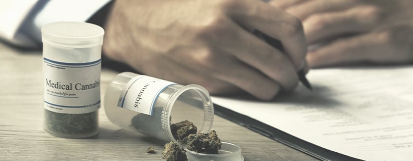 Cannabis Médical Pour Le Contrôle Des Douleurs