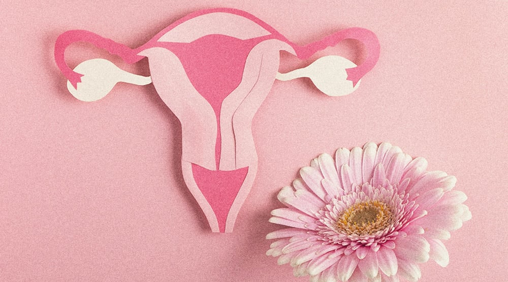 Les femmes et le cannabis : améliorer leur hygiène de vie Les femmes et le cannabis : améliorer leur hygiène de vie