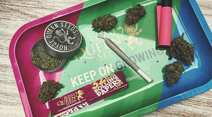 C’est quoi un plateau à rouler C’est quoi un plateau à rouler