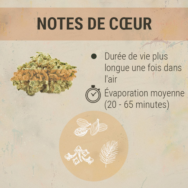 Middle Chords Cannabis Middle Chords Cannabis