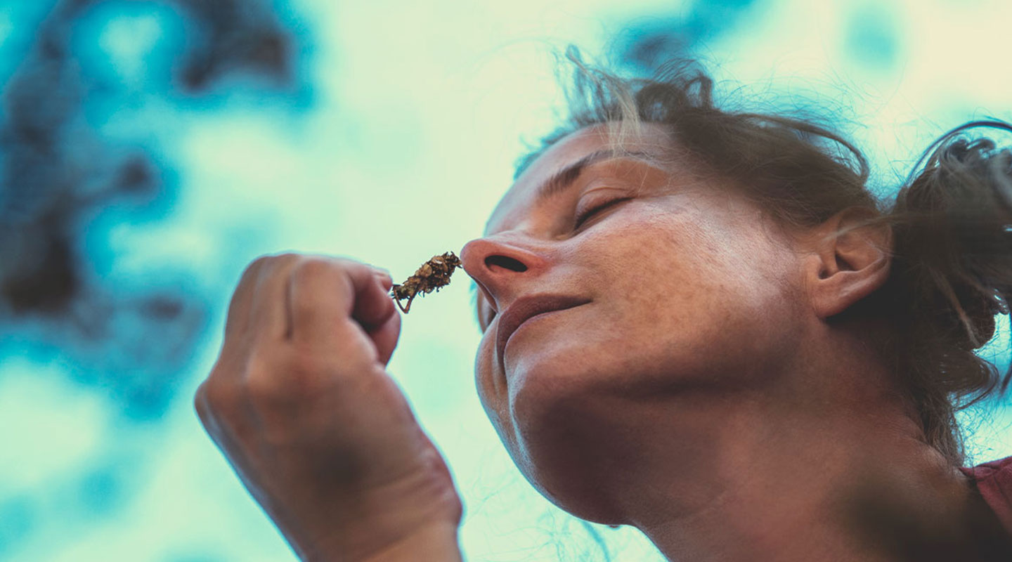 Le cannabis peut-il aider les gens à supporter l’anxiété, le stress, la perte de poids, à laisser l’alcool de côté ?