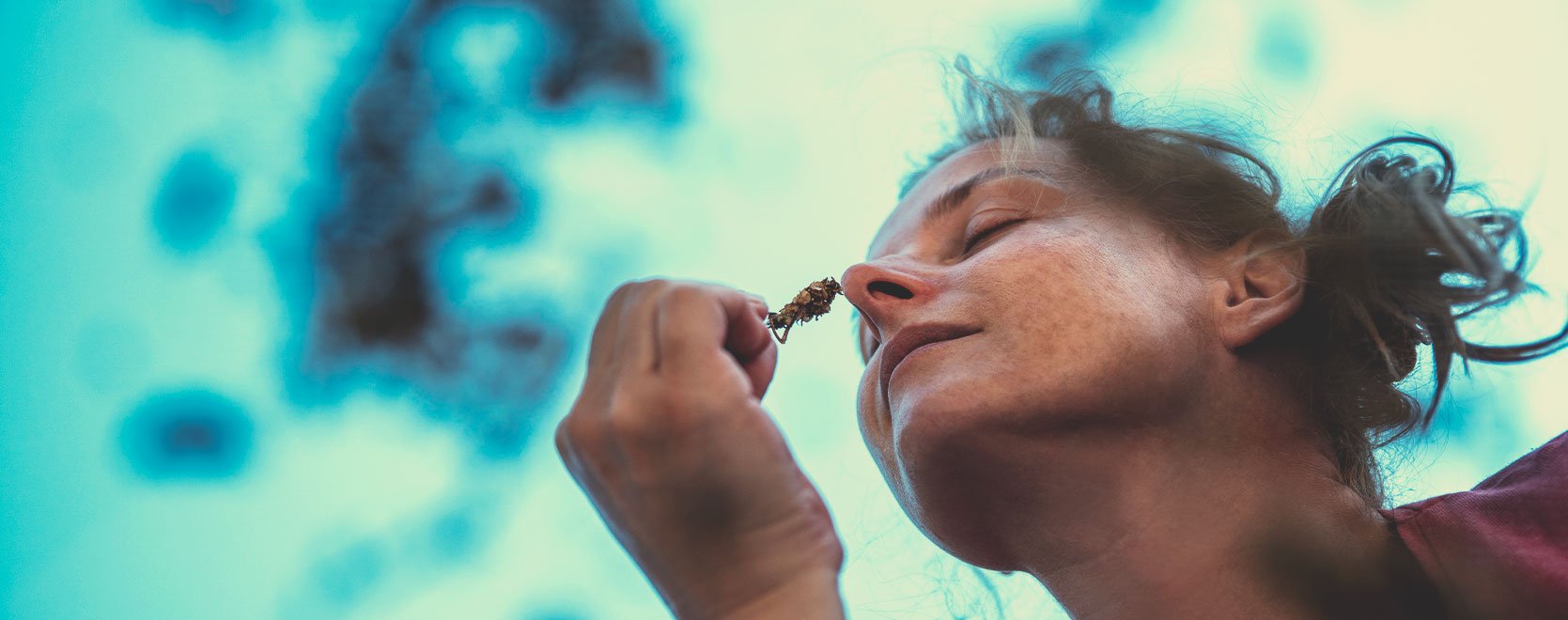 Le cannabis peut-il aider les gens à supporter l’anxiété, le stress, la perte de poids, à laisser l’alcool de côté ?