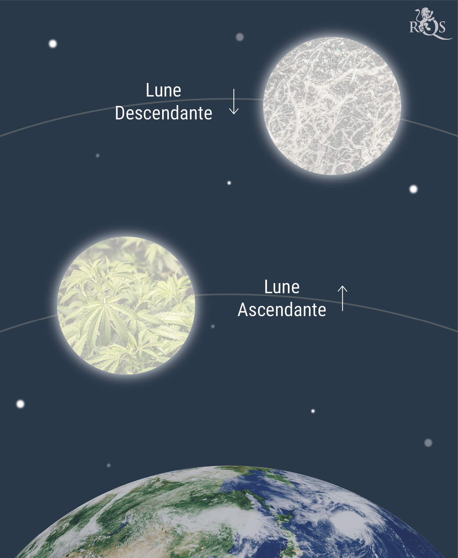 Comment La Lune Affecte La Culture Du Cannabis Comment La Lune Affecte La Culture Du Cannabis