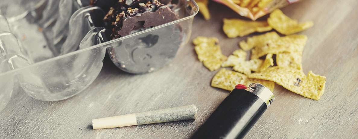 Comment fonctionne l’appétit ? Comment fonctionne l’appétit ?