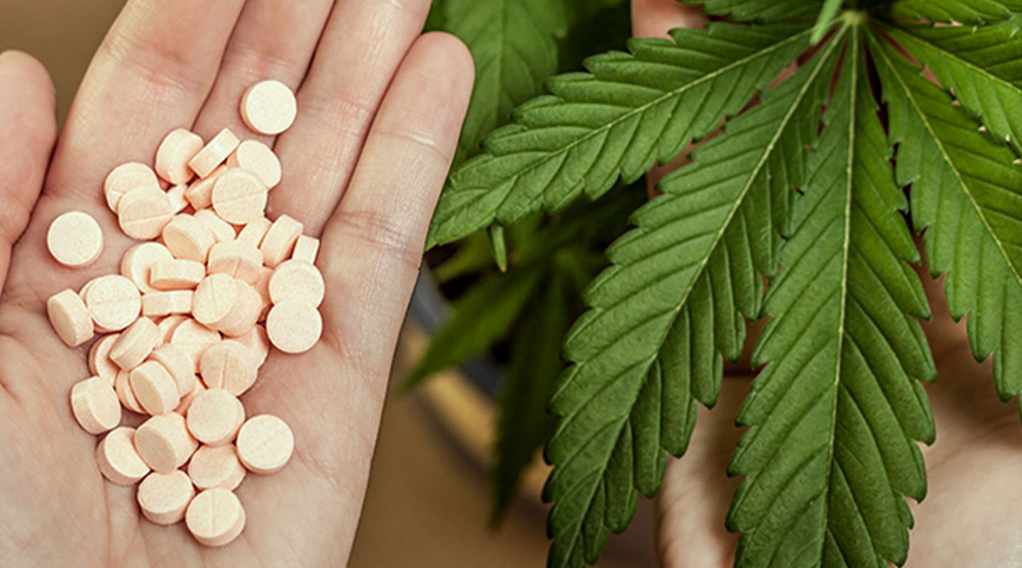 Le cannabis pourrait-il remplacer les opioïdes ? Le cannabis pourrait-il remplacer les opioïdes ?