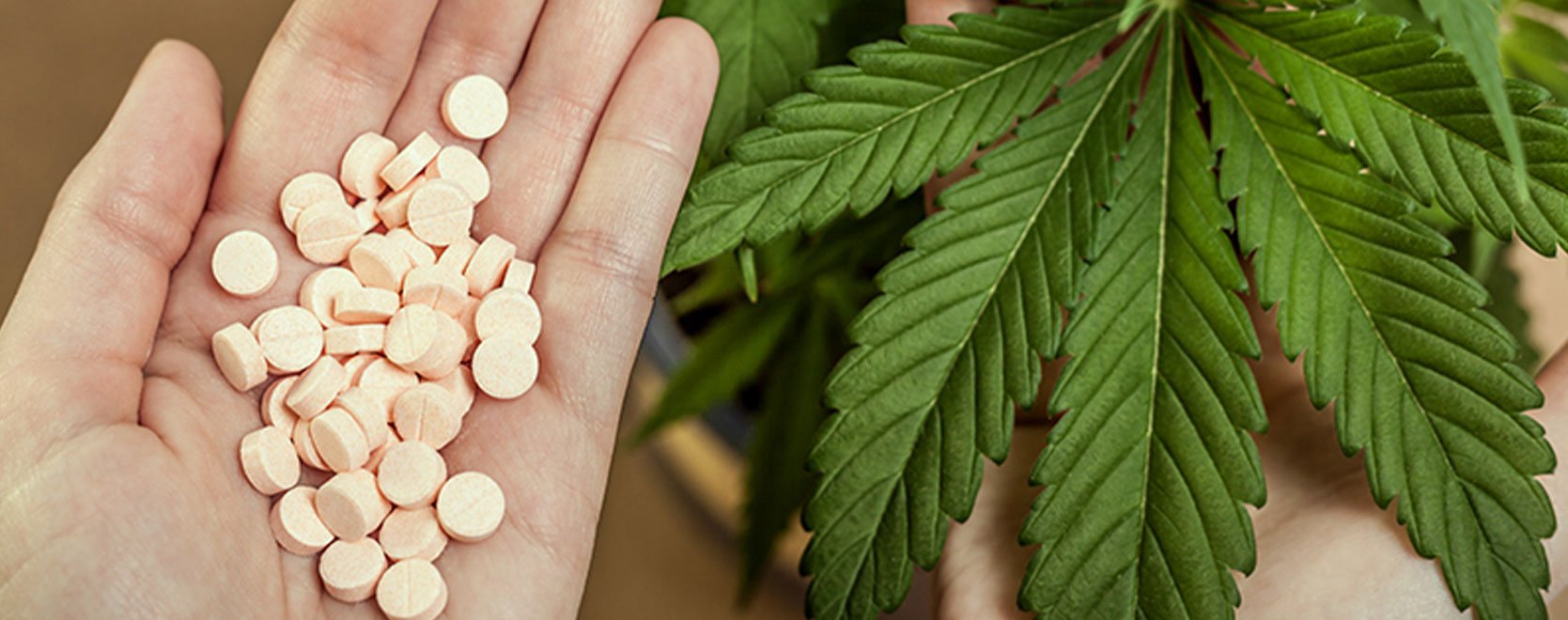 Le cannabis pourrait-il remplacer les opioïdes ?