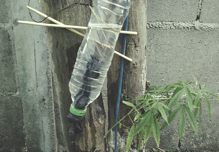 Comment Construire Un Système Avec Bouteille D’irrigation Dehors Comment Construire Un Système Avec Bouteille D’irrigation Dehors