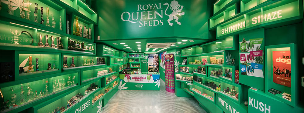 Découvrez la boutique Royal Queen Seeds de Barcelone
