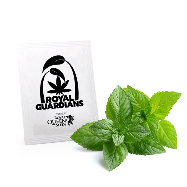 buy Peppermint Royal Guardians buy Peppermint Royal Guardians online