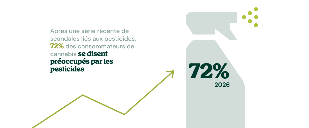 Infographie montrant la hausse des inquiétudes concernant les pesticides dans le cannabis acheté en magasin.