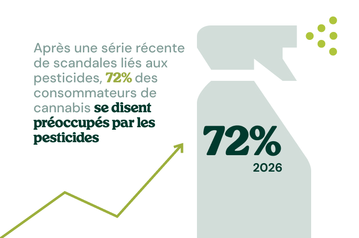 Infographie montrant la hausse des inquiétudes concernant les pesticides dans le cannabis acheté en magasin.