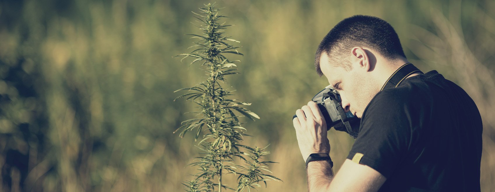 Pouvez-vous partager avec nous vos meilleurs conseils pour prendre des photos de cannabis créatives ?