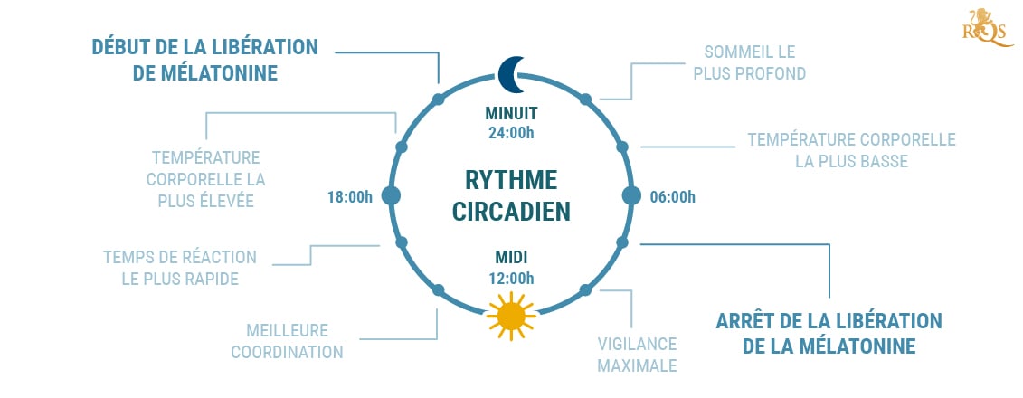 Qu’est-ce que le rythme circadien ?