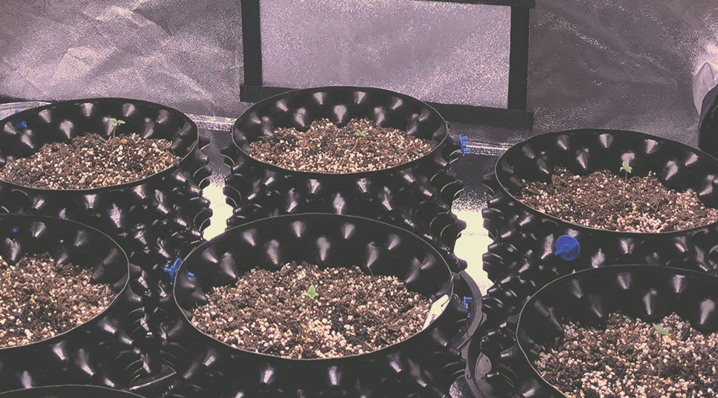 Type de pot Type de pot