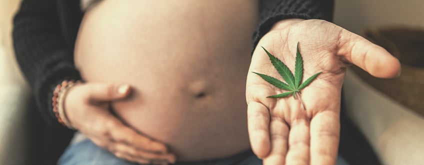 Quels Sont Les Risques Potentiels Liés Au Fait De Fumer Du Cannabis Tout en Étant Enceinte ?