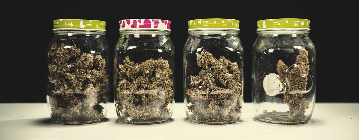 La qualité du cannabis