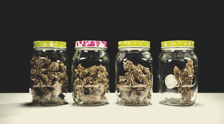 La qualité du cannabis La qualité du cannabis