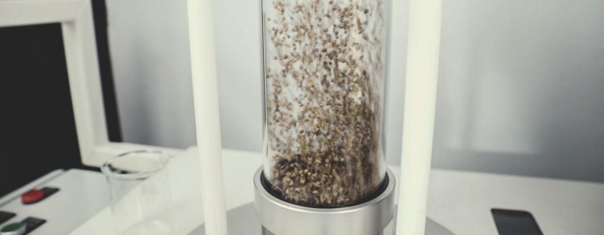 Processus de contrôle qualité de Royal Queen Seeds : étape par étape Processus de contrôle qualité de Royal Queen Seeds : étape par étape