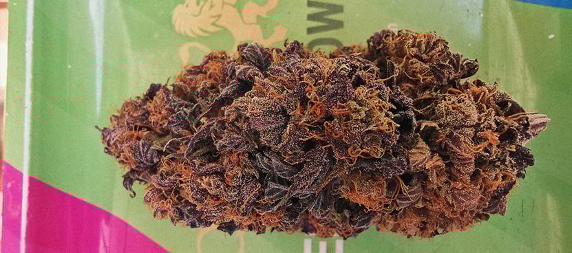 Gros plan d'un bouton de cannabis séché avec des teintes violettes et orange, montrant les détails de la texture et des trichomes.