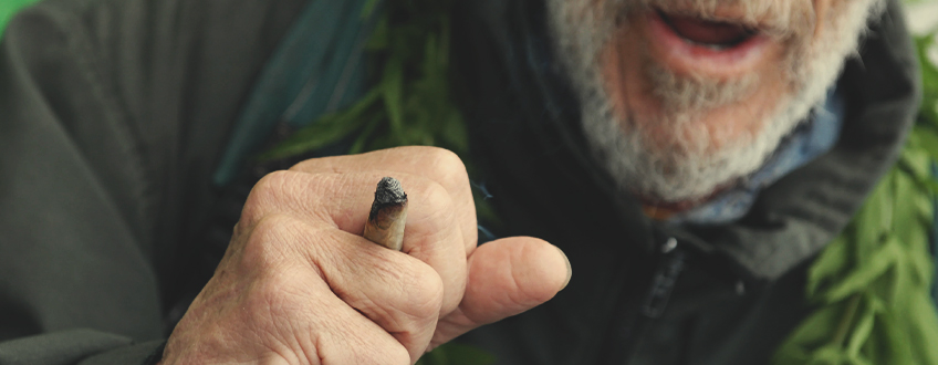 LE MOUVEMENT DU CANNABIS EN ESPAGNE