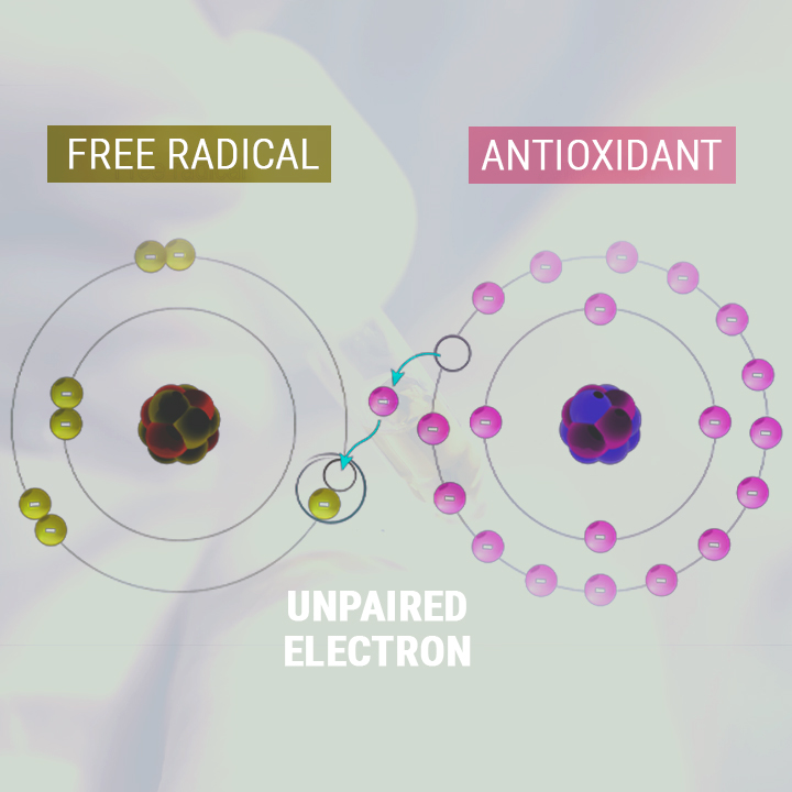 L'HUILE DE CBD COMME ANTIOXYDANT L'HUILE DE CBD COMME ANTIOXYDANT