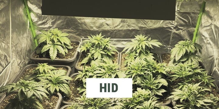 HID HID