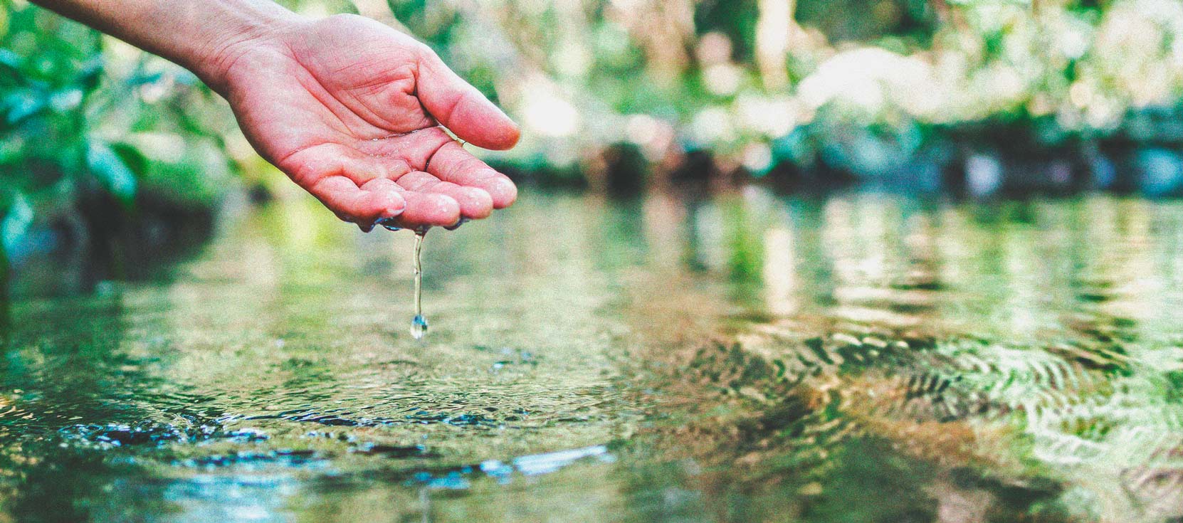 Cannabis et qualité de l’eau Partie 3 : choisir une source d’eau