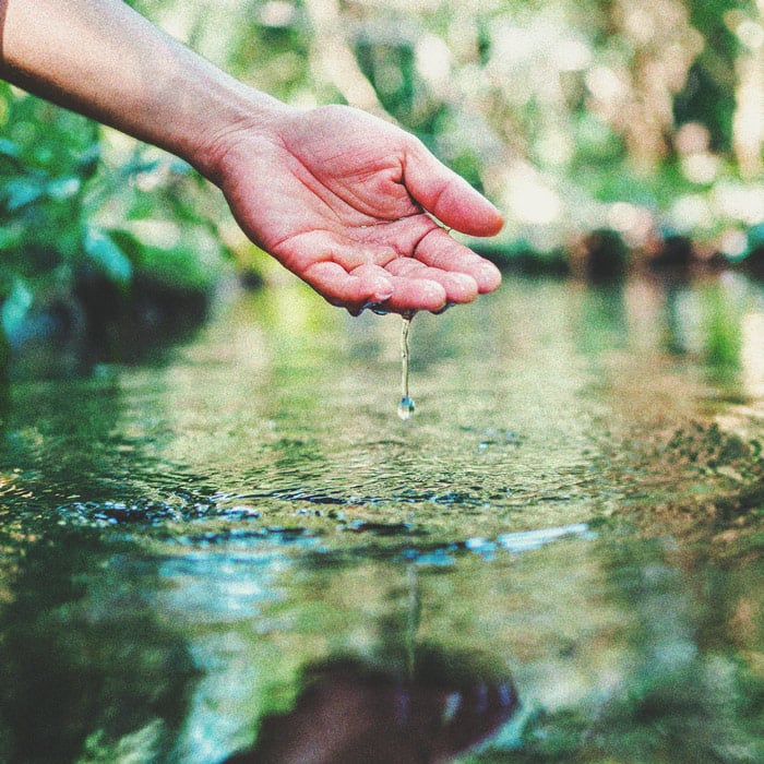 Cannabis et qualité de l’eau Partie 3 : choisir une source d’eau