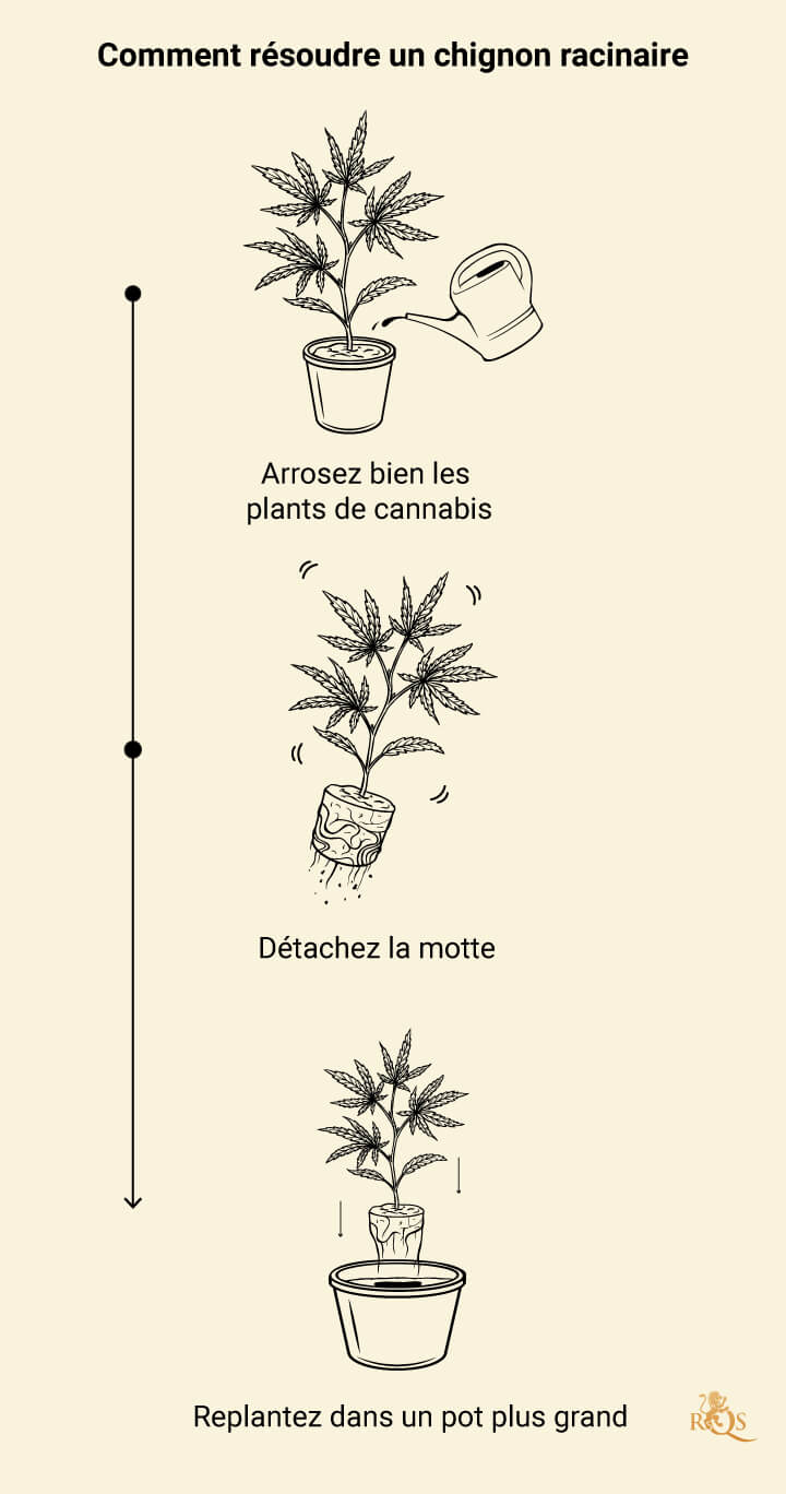 Rootbound Solution