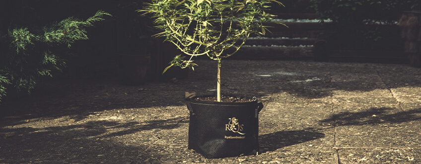 POT RQS EN TISSU AVEC REVÊTEMENT AQUA-BREATHE POT RQS EN TISSU AVEC REVÊTEMENT AQUA-BREATHE