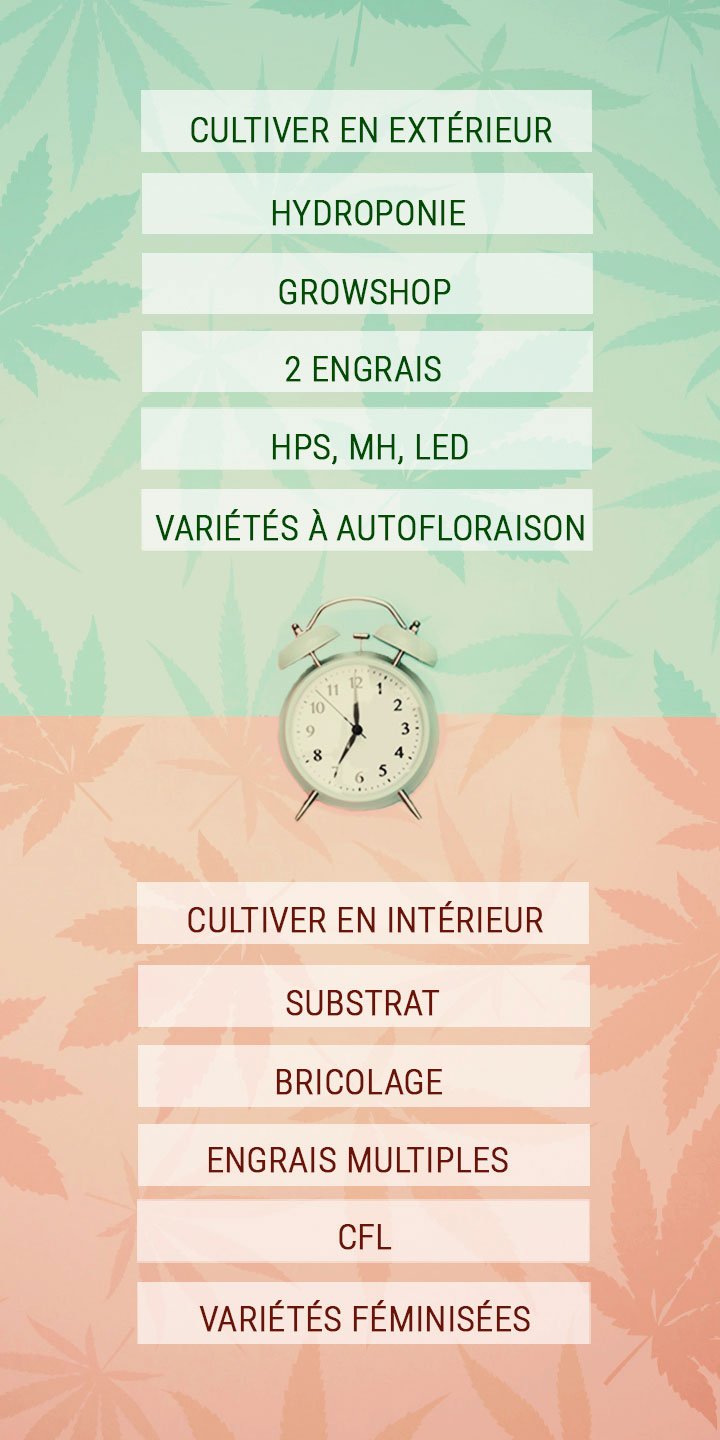 Quelques conseils pour économiser le temps des cultivateurs de cannabis