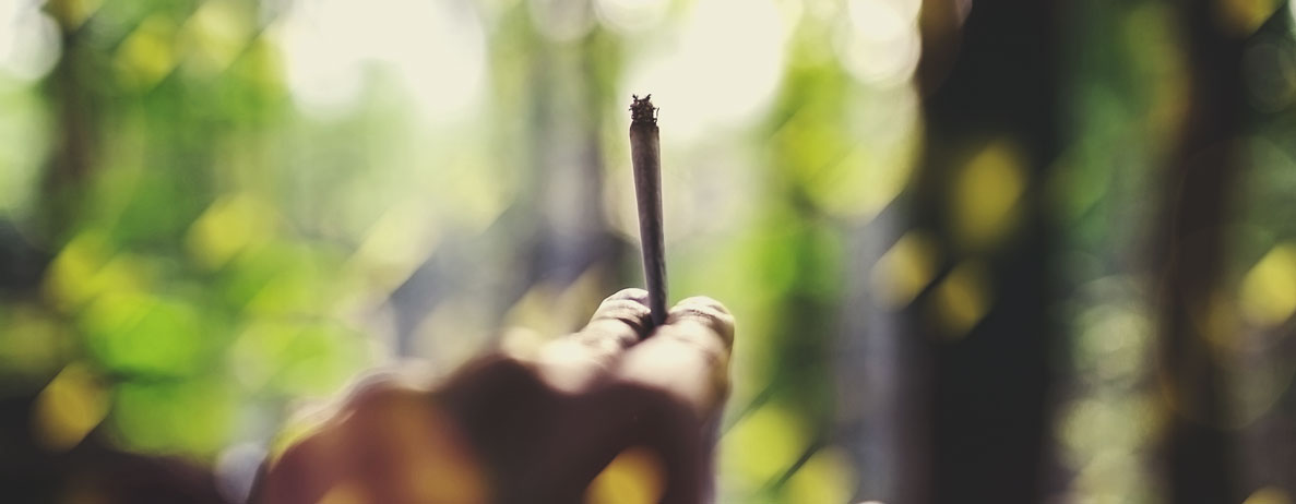 État d’esprit et environnement pour le cannabis : trucs et astuces État d’esprit et environnement pour le cannabis : trucs et astuces