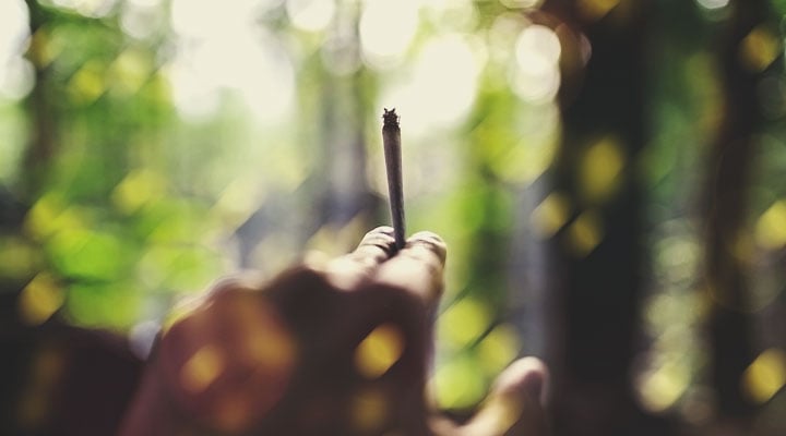 État d’esprit et environnement pour le cannabis : trucs et astuces État d’esprit et environnement pour le cannabis : trucs et astuces