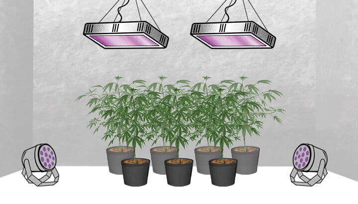 Lampe de croissance pour plante : en quoi consiste-t-elle ?