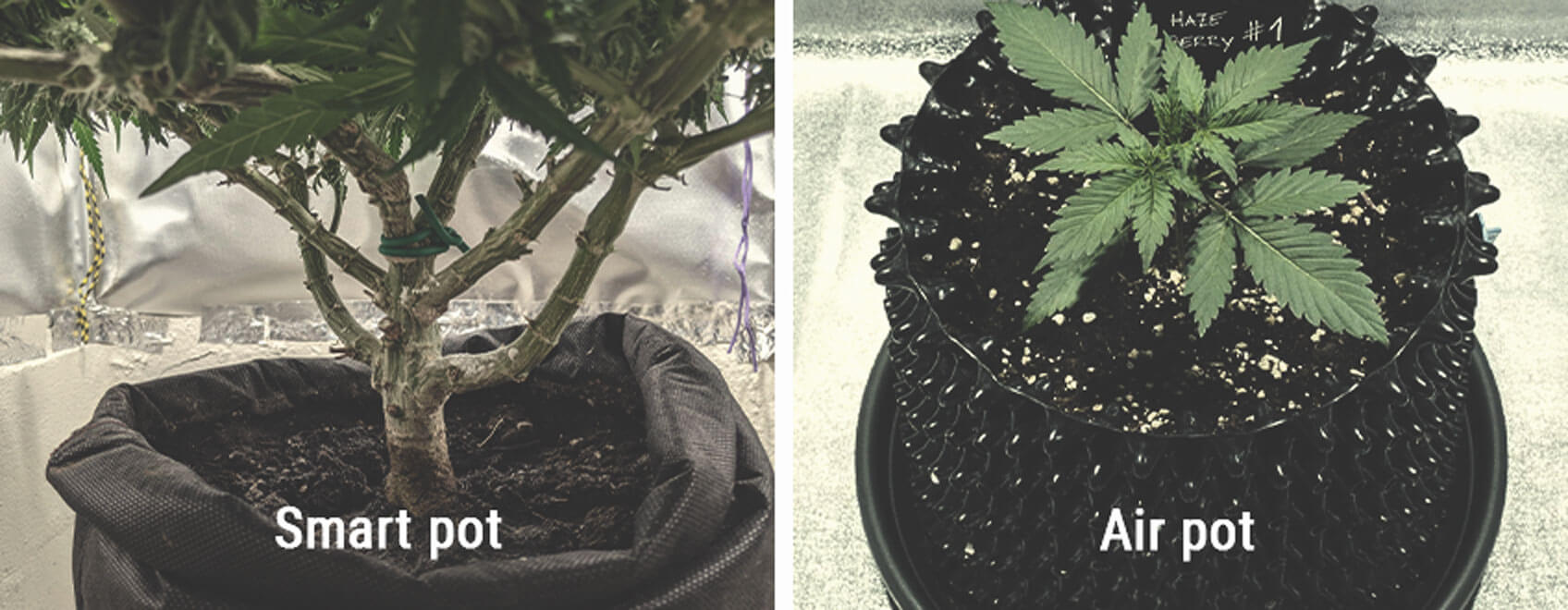 Que Sont Les Smart Et Les Air-Pots ? Que Sont Les Smart Et Les Air-Pots ?
