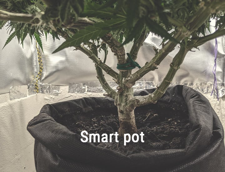Smart Pots Smart Pots