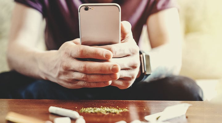 What Are the Best Weed Emojis? What Are the Best Weed Emojis?
