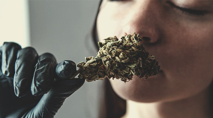 Que regarder avant de gouter de la weed : Attributs Physiques