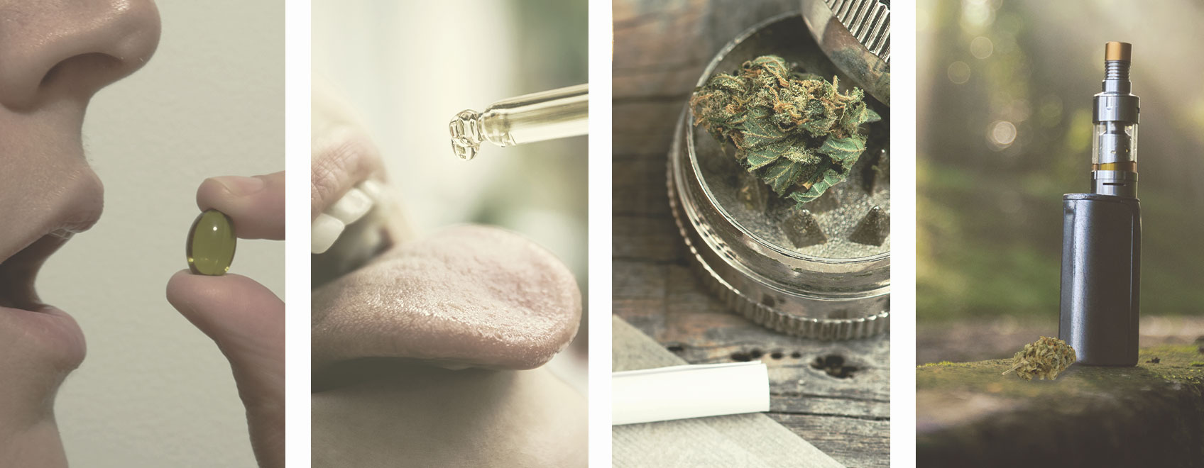 Comment Microdoser le CBD ? Comment Microdoser le CBD ?