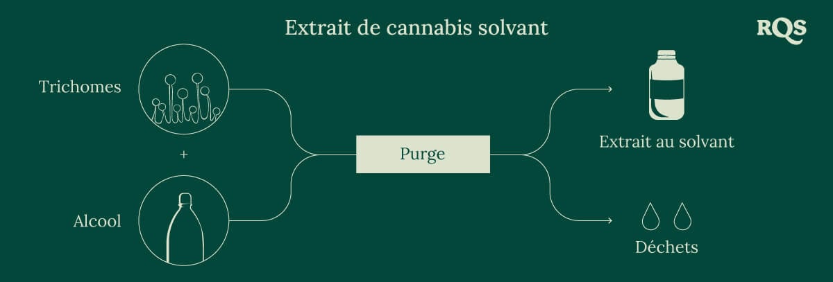 Solvent cannabis process