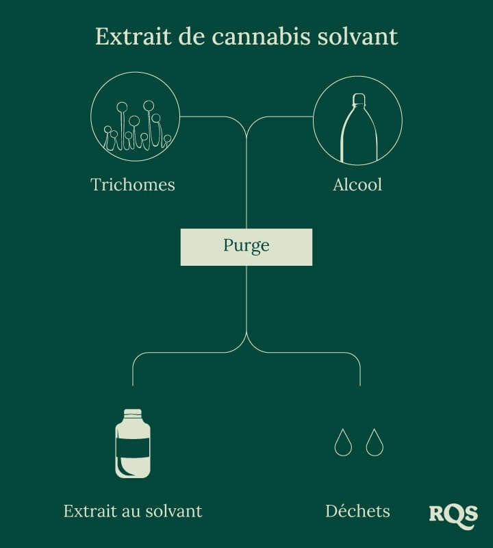 Solvent cannabis process