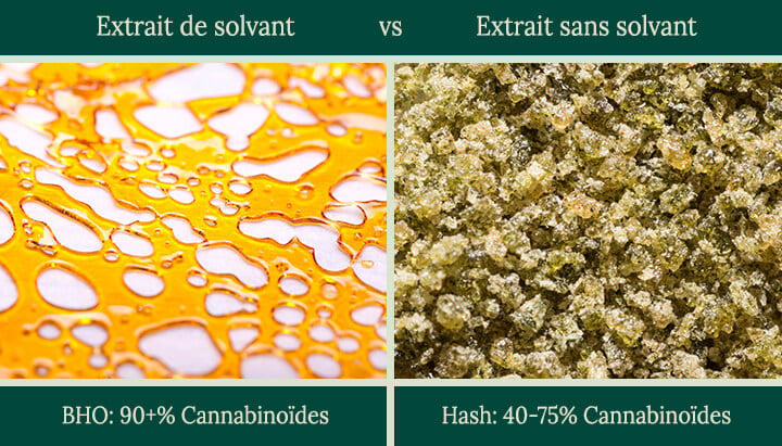 Solvent vs solventless 2