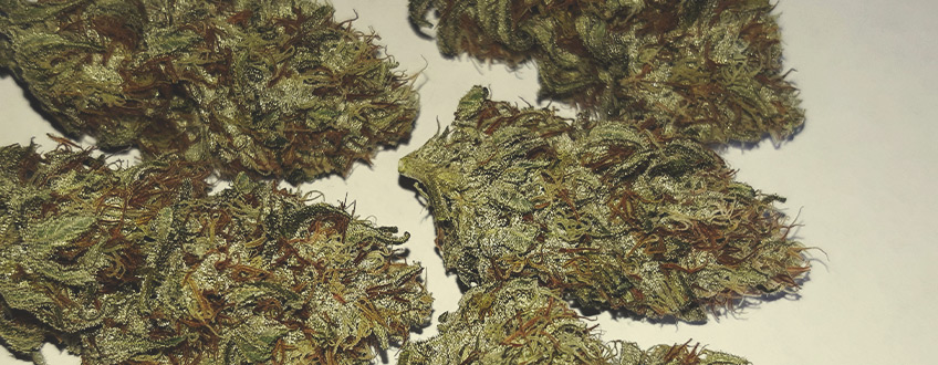 Sour Diesel Sour Diesel