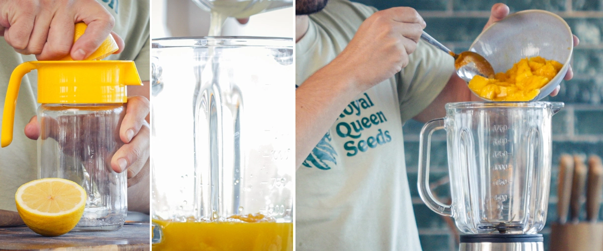 Versement de jus d’orange, d’eau et de jus de citron dans un bol de mixeur contenant de la mangue coupée pour préparer un smoothie.