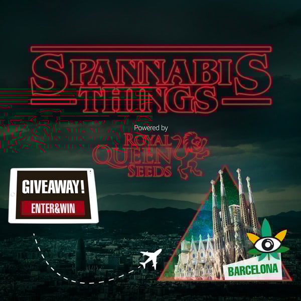 spannabis raffle things royal queen seeds