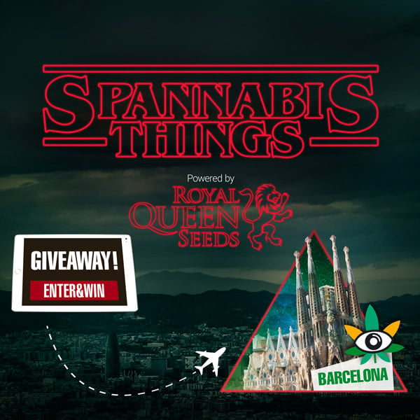 spannabis raffle things royal queen seeds