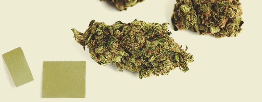 Comment les bandes au THC agissent-elles ? Comment les bandes au THC agissent-elles ?