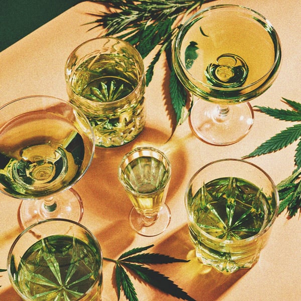 Conseils De Sécurité Pour Les Nouveaux Consommateurs De Cannabis Conseils De Sécurité Pour Les Nouveaux Consommateurs De Cannabis