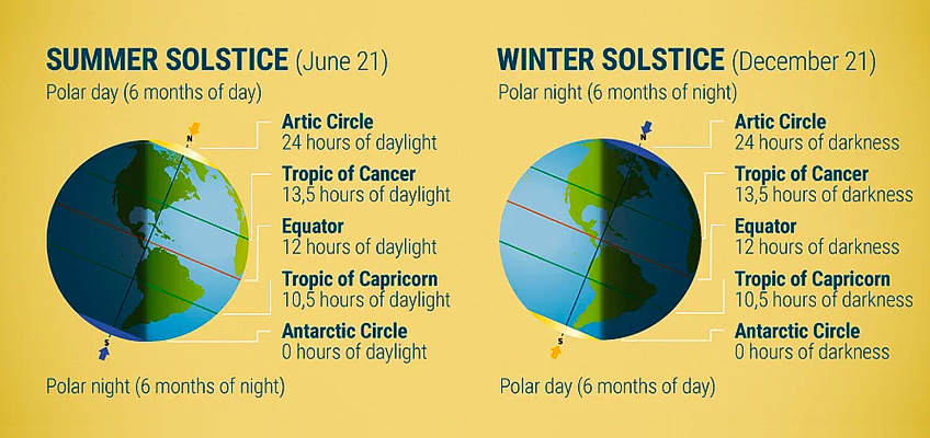 De Quelle Quantité De Lumière Du Soleil Ont Besoin Les Plantes D’extérieur ? De Quelle Quantité De Lumière Du Soleil Ont Besoin Les Plantes D’extérieur ?
